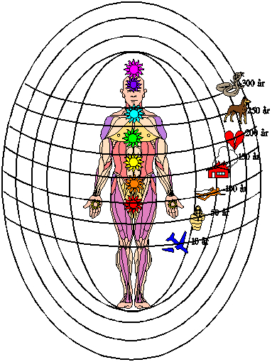 traumabild